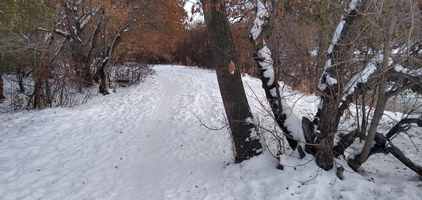 A trail covered in snow